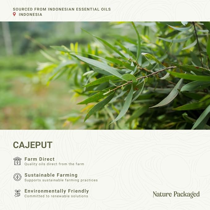 Cajeput Essential Oil - Image 3