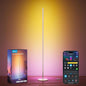 Govee RGBIC Floor Lamp Basic, LED Corner Lamp Works by Govee