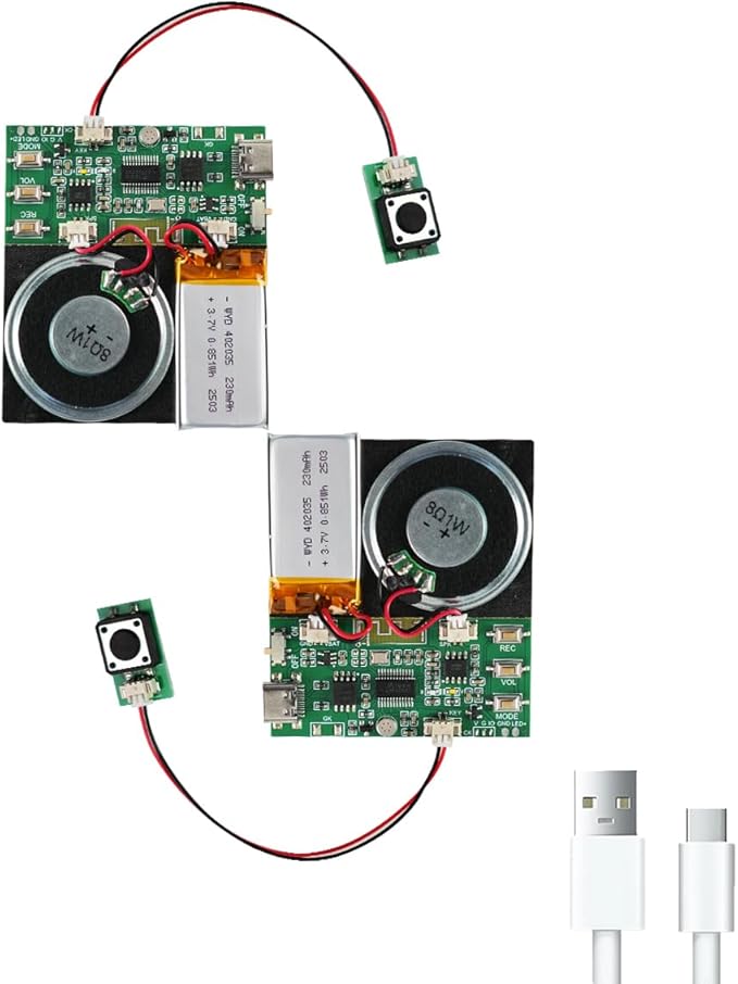 Bluetooth & MIC Recording Audio Sound Module, 8MB Voice Chips by XLW