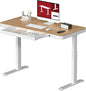 Standing Desk with Drawer, Electric Height Adjustable Home Office Desk with by sanodesk