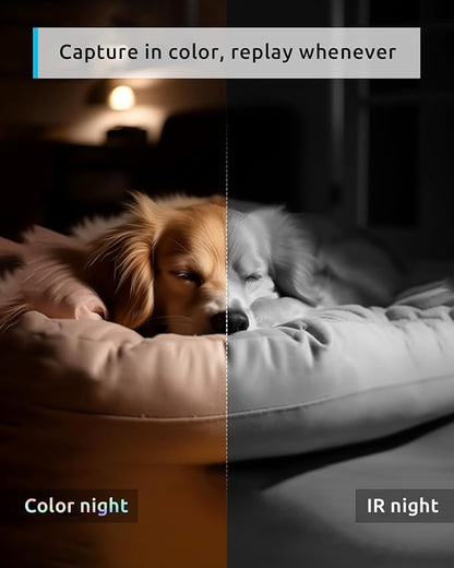 blurams 5G Pet Camera 2K, 360° PTZ Dog Camera - Image 3