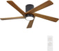 WINGBO 54 Inch Flush Mount DC Ceiling Fan by HomePage