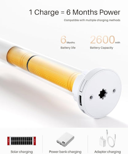 Smart Zebra Blinds for Windows, Alexa Motorized Blinds - Image 3