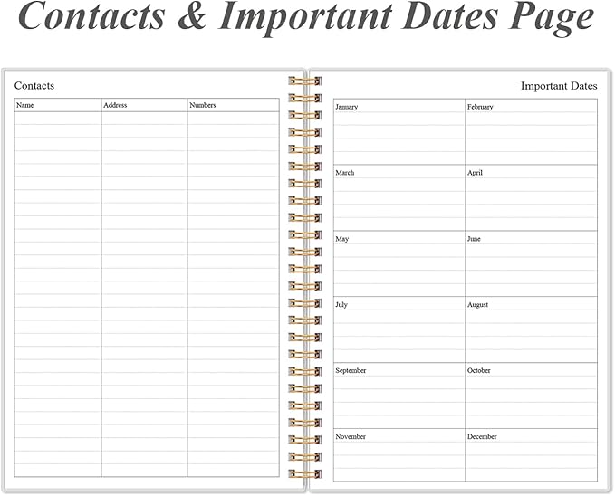 Daily Planner Undated - Image 4
