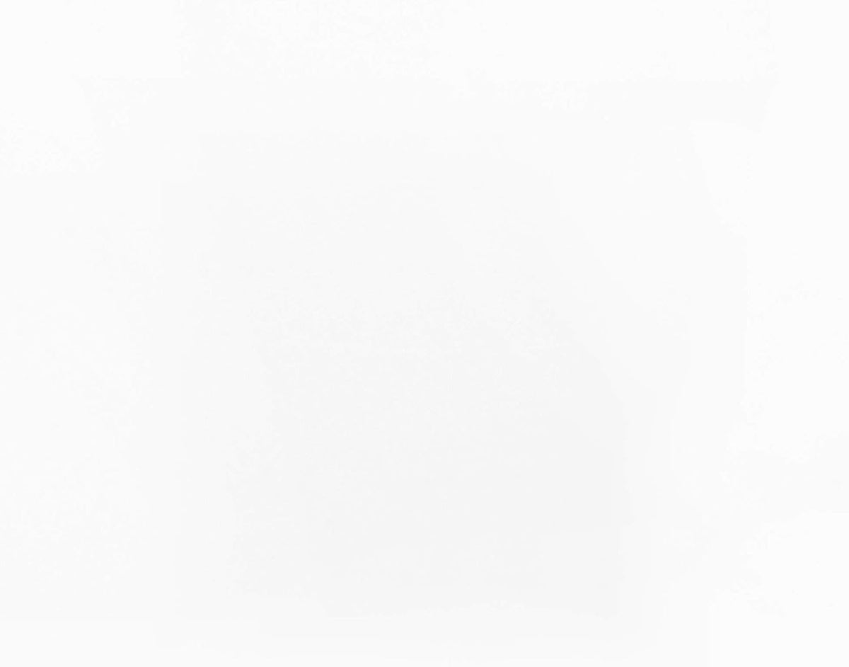 DALIX 82.5" White Vertical Blinds Replacement Slats Sliding Door Window (24 Pack)
