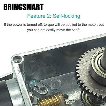 BRINGSMART 12V 16rpm DC Worm Gear Motor 70kg.cm High Torque Turbine Electric - Image 3