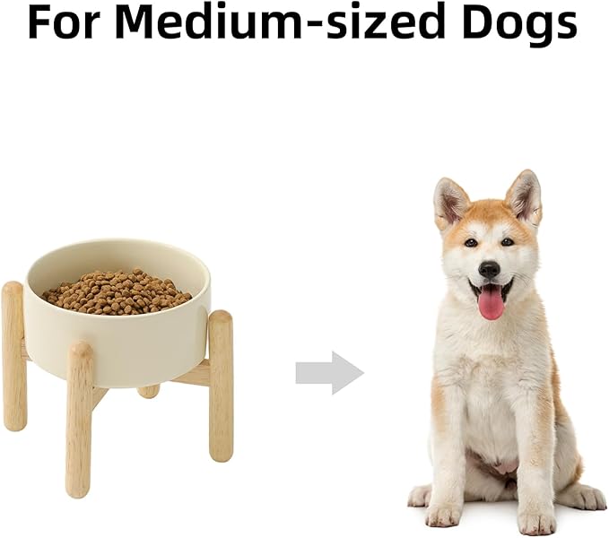 Ceramic 6.1inch Raised Dog Bowl - Image 4