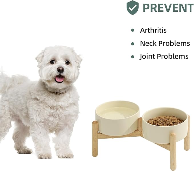 Ceramic 6.1inch Raised Dog Bowl - Image 5