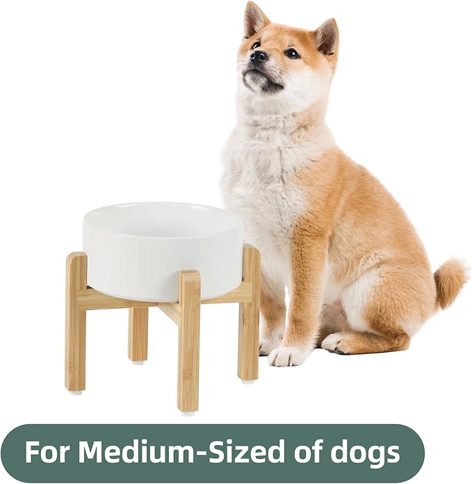 Ceramic Raised Dog Bowl Set, Elevated - Image 4
