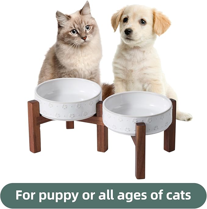 6.1inch Ceramic Raised Double Bowls Set - Image 5