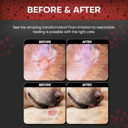 2% Chlorhexidine Wipes for Dogs 3X Larger | Yeast Infection Ringworm Fungus Hot - Image 2