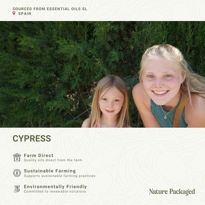 Cypress Essential Oil - Image 3