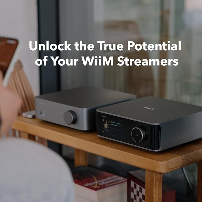 WiiM Vibelink Amp | 100W Power Amplifier - Image 6