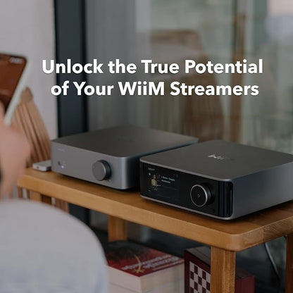 WiiM Vibelink Amp | 100W Power Amplifier - Image 6