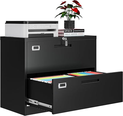 2 Drawer File Cabinets for Home Office, Metal Filing Cabinet by AFAIF