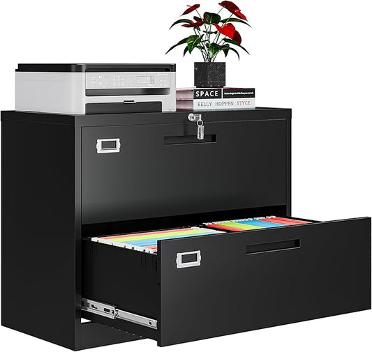 2 Drawer File Cabinets for Home Office, Metal Filing Cabinet by AFAIF