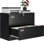 2 Drawer File Cabinets for Home Office, Metal Filing Cabinet by AFAIF