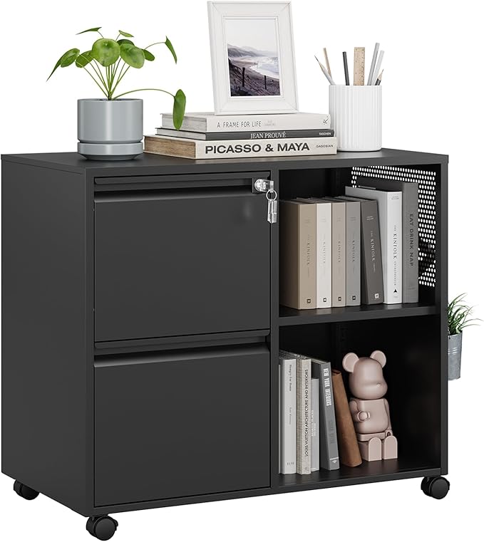 MIIIKO 2 Drawer File Cabinet on Wheels, Metal Filing Cabinets by MIIIKOOfficeFurniture
