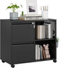 MIIIKO 2 Drawer File Cabinet on Wheels, Metal Filing Cabinets by MIIIKOOfficeFurniture
