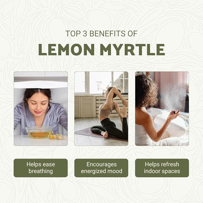 Lemon Myrtle Essential Oil - Image 2