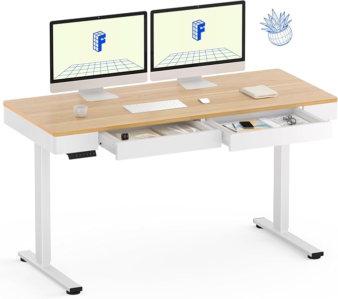 FLEXISPOT Q5 Standing Desk by FlexiSpot
