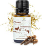 100% Pure Clove Essential Oils by NaturePackaged