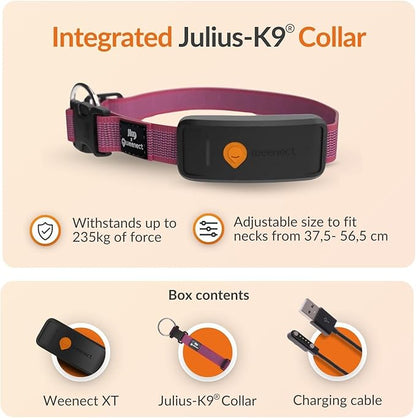 Weenect Dog XT - New GPS Collar - Image 7