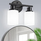 Guliaofo 2-Light Vanity Lights, Modern Vanity Lighting Fixture by GuliaofoLights