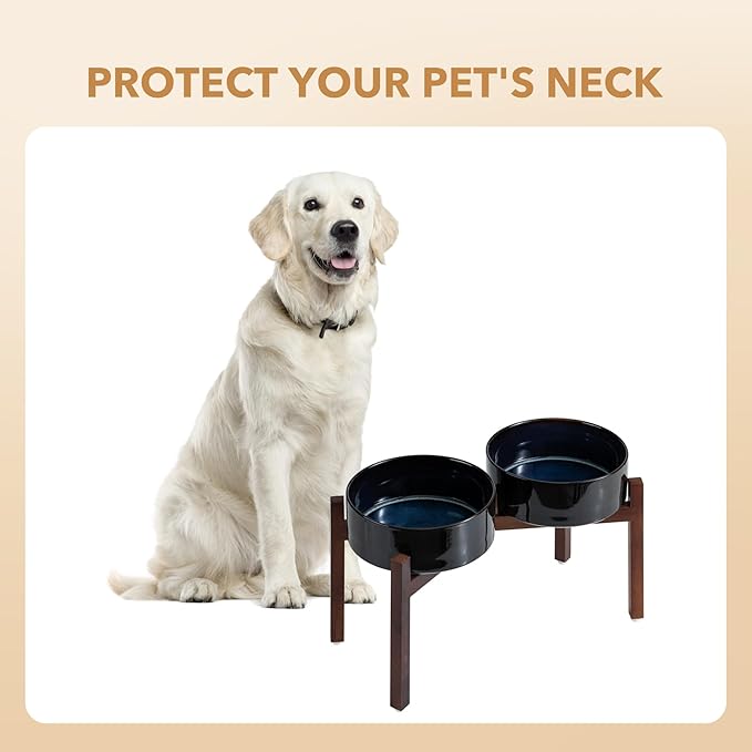 Ceramic 8.2inch Raised Double Dog Bowls Set - Image 6