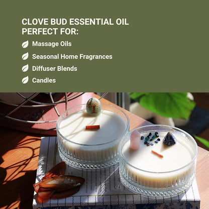 100% Pure Clove Essential Oils - Image 7