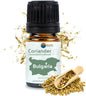 Coriander Essential Oil by NaturePackaged