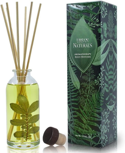 Urban Naturals Eucalyptus Sage Reed Diffuser Oil Gift Set | Eucalyptus by UrbanNaturals