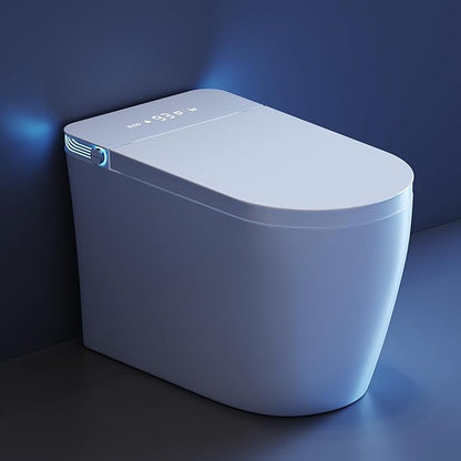 Smart Toilet with Bidet Built in, Bidet Toilet with Heated Seat and Night Light by VipbearLiving