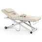 Heavy Duty Electric Massage Table, Electric Lift and Electric Backrest 2 Motor by Brandpouseayar