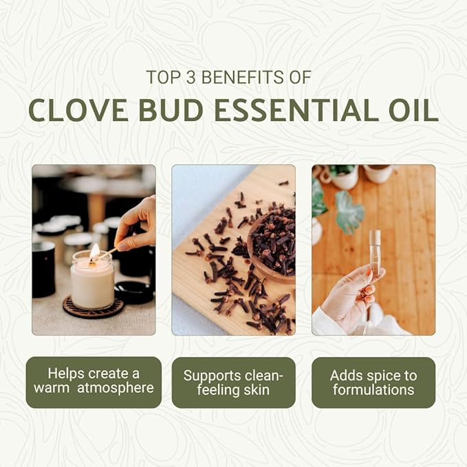 Clove Essential Oil - Image 2