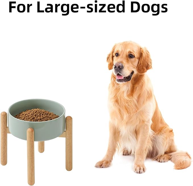 Ceramic 8.2inch Raised Dog Bowl - Image 4