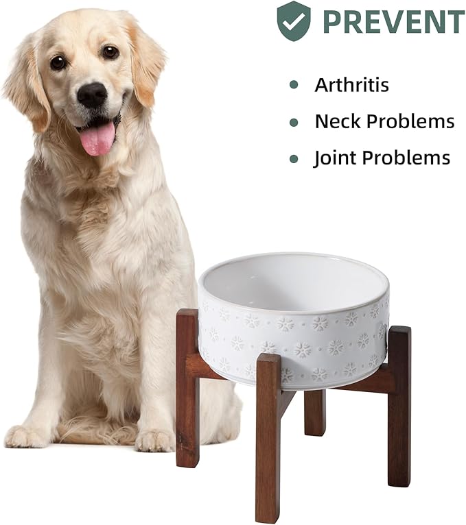 7.3inch Ceramic Raised Dog Bowl Set, Elevated - Image 6