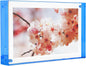 Color Edge Magnet Frame by Canetti-Blue-4x6 inch