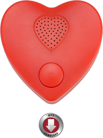 XLW 16min Voice Recorder, Personal Voice Message Recordable Sound Recorder by XLW