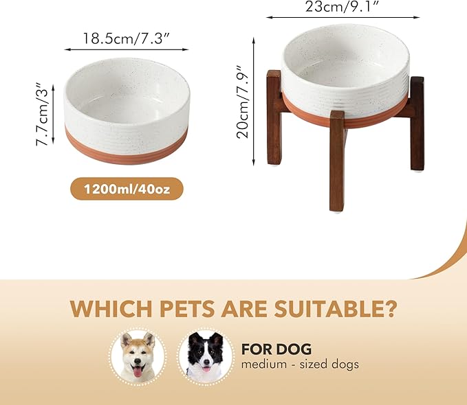 Ceramic 7.3inch Raised Dog Bowl Set, Elevated - Image 2