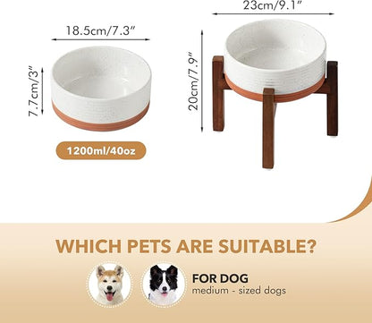 Ceramic 7.3inch Raised Dog Bowl Set, Elevated - Image 2