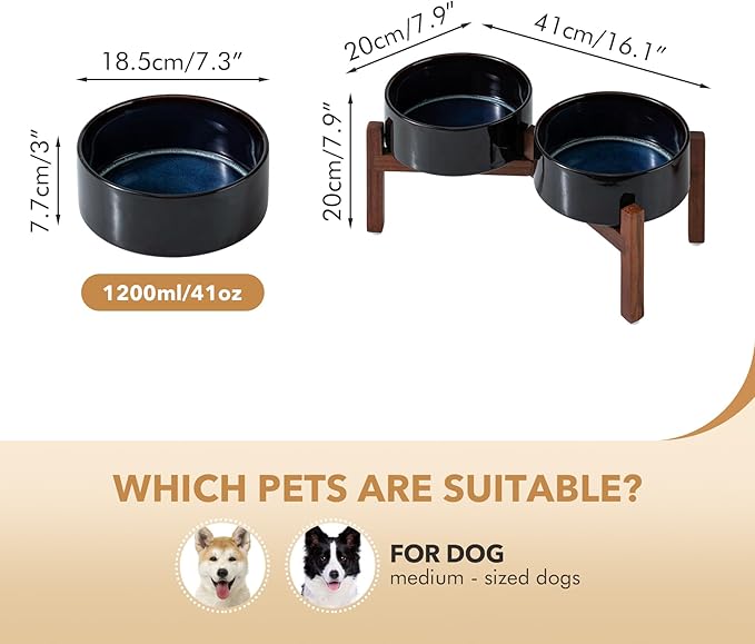 Ceramic 7.3inch Raised Double Dog Bowls Set - Image 2