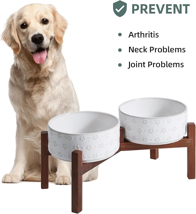 7.3inch Ceramic Raised Double Bowls Set - Image 6