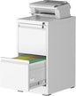 File Cabinet, 2 Drawer File Cabinet by Unknown