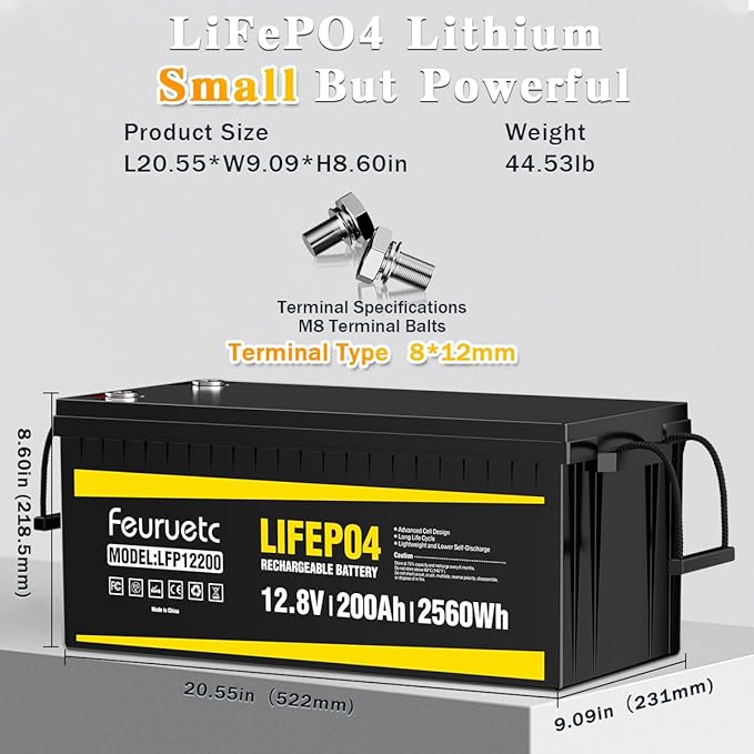12V 200Ah Lithium LiFePO4 Battery, Built-in 200A BMS, 2560Wh Energy Storage - Image 2