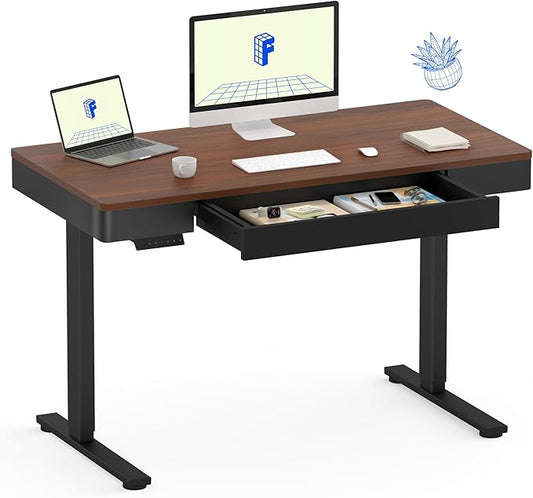 FLEXISPOT Q5 Standing Desk by FlexiSpot