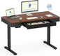 FLEXISPOT Q5 Standing Desk by FlexiSpot