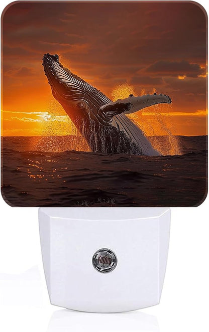 FSHVQKD Sunset Humpback Whale Night Light, Plug Into Wall by Unknown