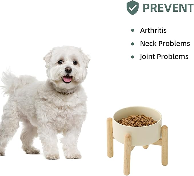 Ceramic 6.1inch Raised Dog Bowl - Image 5