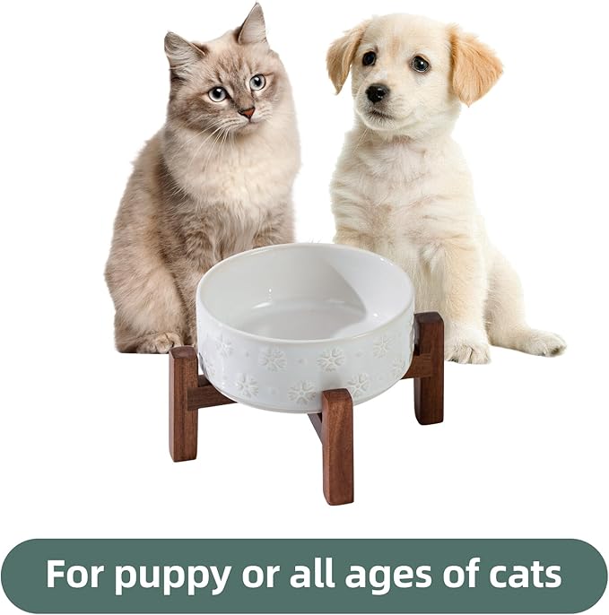 Ceramic 5.1inch Raised Dog and Cat Bowl Set, 2 Heights Elevated Wooden Stand - Image 5
